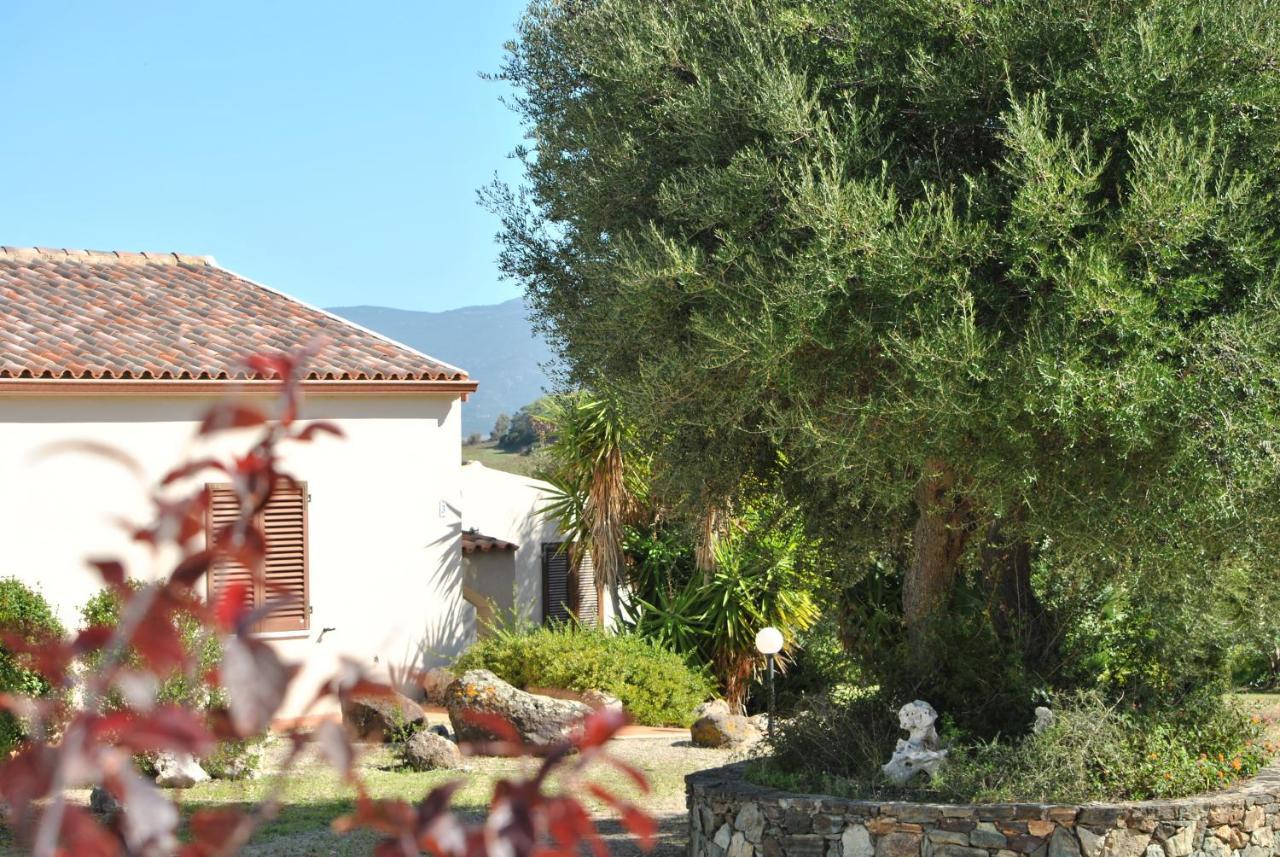 La Casa Di Spinosella Apartamento Valledoria  Exterior foto
